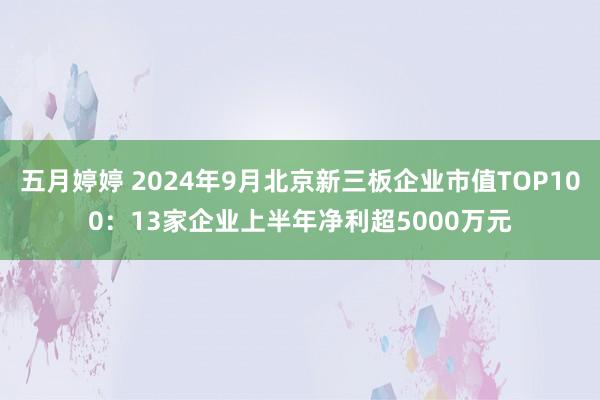 五月婷婷 2024年9月北京新三板企业市值TOP100：13家企业上半年净利超5000万元