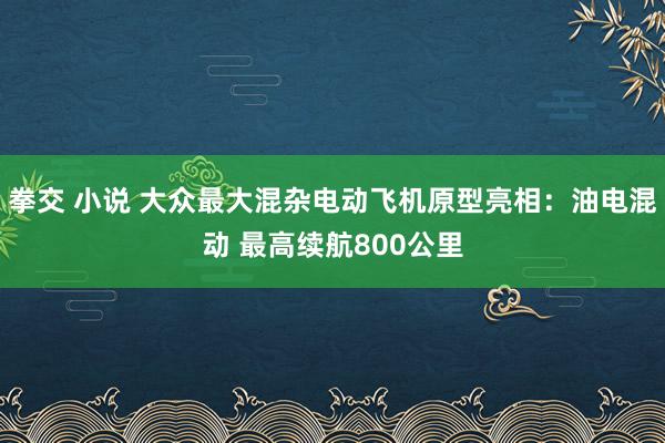 拳交 小说 大众最大混杂电动飞机原型亮相：油电混动 最高续航800公里