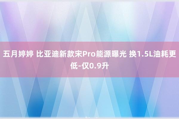 五月婷婷 比亚迪新款宋Pro能源曝光 换1.5L油耗更低-仅0.9升