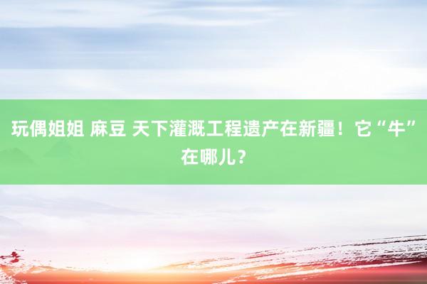 玩偶姐姐 麻豆 天下灌溉工程遗产在新疆！它“牛”在哪儿？