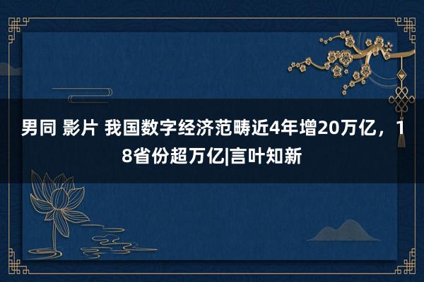 男同 影片 我国数字经济范畴近4年增20万亿，18省份超万亿|言叶知新