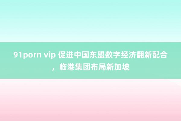 91porn vip 促进中国东盟数字经济翻新配合，临港集团布局新加坡