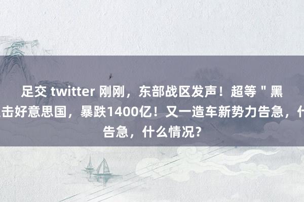 足交 twitter 刚刚，东部战区发声！超等＂黑天鹅＂直击好意思国，暴跌1400亿！又一造车新势力告急，什么情况？