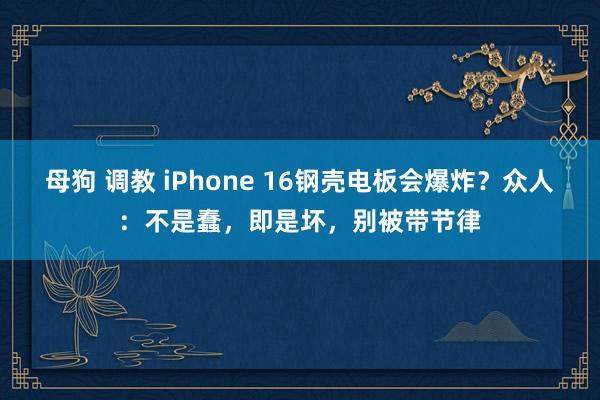 母狗 调教 iPhone 16钢壳电板会爆炸？众人：不是蠢，即是坏，别被带节律