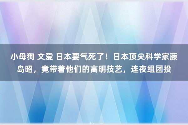 小母狗 文爱 日本要气死了！日本顶尖科学家藤岛昭，竟带着他们的高明技艺，连夜组团投