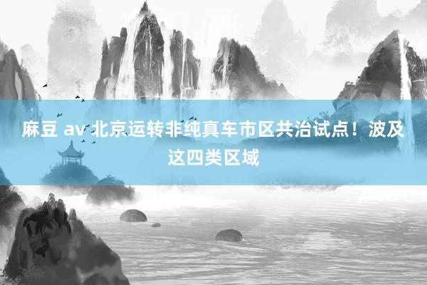 麻豆 av 北京运转非纯真车市区共治试点！波及这四类区域