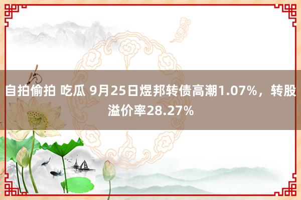 自拍偷拍 吃瓜 9月25日煜邦转债高潮1.07%，转股溢价率28.27%