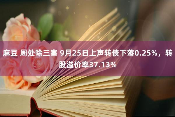 麻豆 周处除三害 9月25日上声转债下落0.25%，转股溢价率37.13%