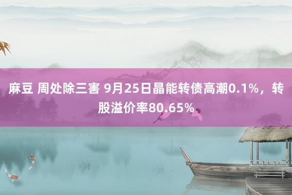 麻豆 周处除三害 9月25日晶能转债高潮0.1%，转股溢价率80.65%