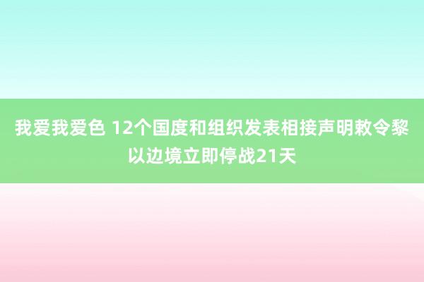 我爱我爱色 12个国度和组织发表相接声明敕令黎以边境立即停战21天