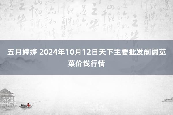 五月婷婷 2024年10月12日天下主要批发阛阓苋菜价钱行情