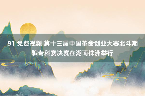 91 免费视频 第十三届中国革命创业大赛北斗期骗专科赛决赛在湖南株洲举行