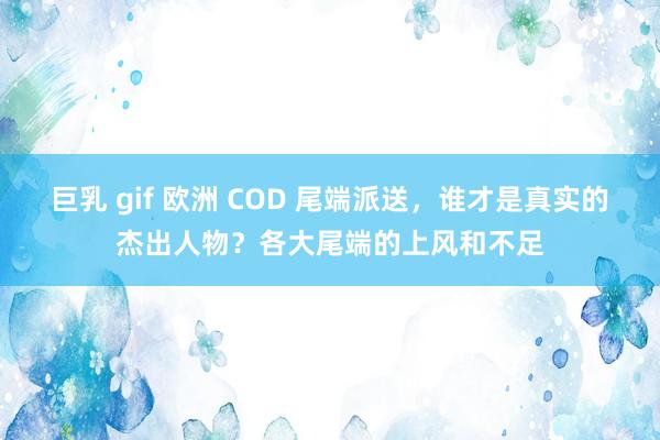 巨乳 gif 欧洲 COD 尾端派送，谁才是真实的杰出人物？各大尾端的上风和不足