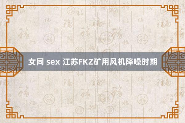 女同 sex 江苏FKZ矿用风机降噪时期