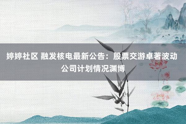 婷婷社区 融发核电最新公告：股票交游卓著波动 公司计划情况渊博