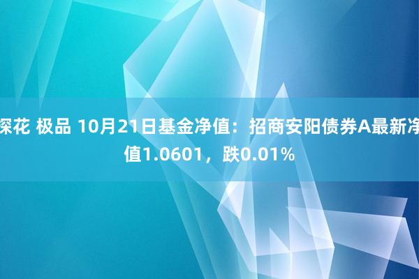 探花 极品 10月21日基金净值：招商安阳债券A最新净值1.0601，跌0.01%