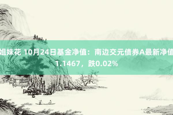 姐妹花 10月24日基金净值：南边交元债券A最新净值1.1467，跌0.02%