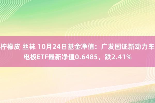 柠檬皮 丝袜 10月24日基金净值：广发国证新动力车电板ETF最新净值0.6485，跌2.41%