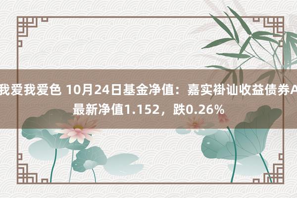 我爱我爱色 10月24日基金净值：嘉实褂讪收益债券A最新净值1.152，跌0.26%