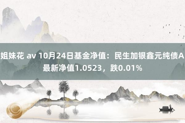 姐妹花 av 10月24日基金净值：民生加银鑫元纯债A最新净值1.0523，跌0.01%