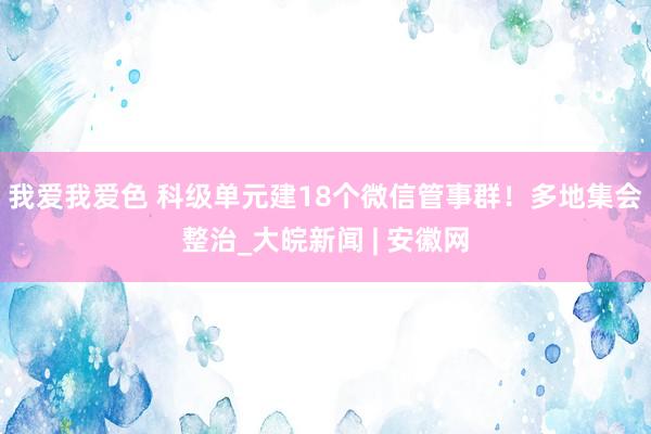 我爱我爱色 科级单元建18个微信管事群！多地集会整治_大皖新闻 | 安徽网