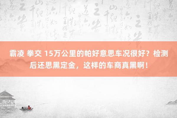 霸凌 拳交 15万公里的帕好意思车况很好？检测后还思黑定金，这样的车商真黑啊！