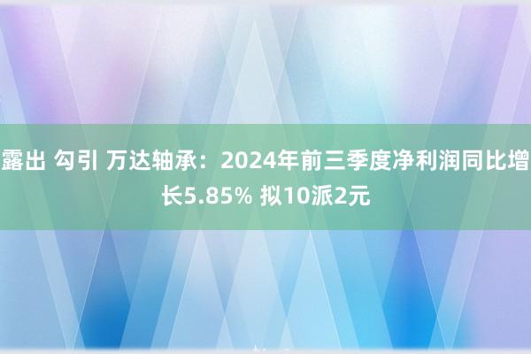 露出 勾引 万达轴承：2024年前三季度净利润同比增长5.85% 拟10派2元