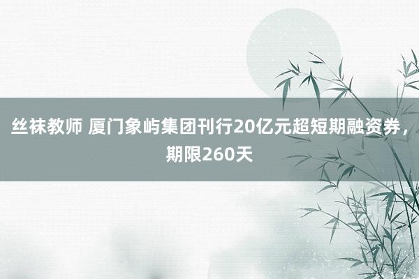 丝袜教师 厦门象屿集团刊行20亿元超短期融资券，期限260天