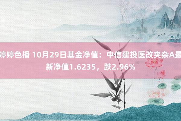 婷婷色播 10月29日基金净值：中信建投医改夹杂A最新净值1.6235，跌2.96%