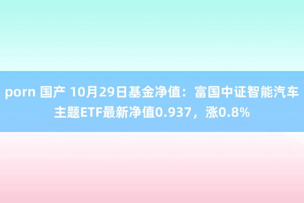 porn 国产 10月29日基金净值：富国中证智能汽车主题ETF最新净值0.937，涨0.8%