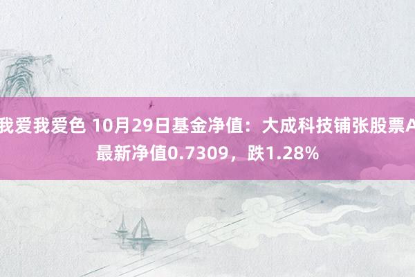 我爱我爱色 10月29日基金净值：大成科技铺张股票A最新净值0.7309，跌1.28%