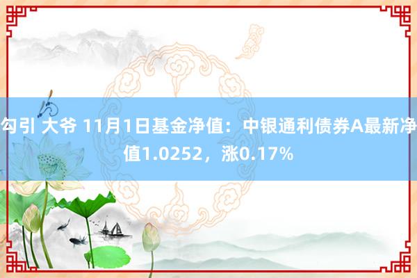 勾引 大爷 11月1日基金净值：中银通利债券A最新净值1.0252，涨0.17%