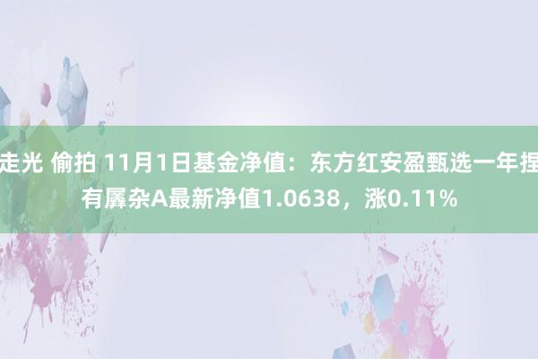 走光 偷拍 11月1日基金净值：东方红安盈甄选一年捏有羼杂A最新净值1.0638，涨0.11%