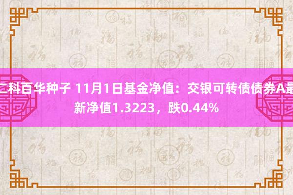 仁科百华种子 11月1日基金净值：交银可转债债券A最新净值1.3223，跌0.44%