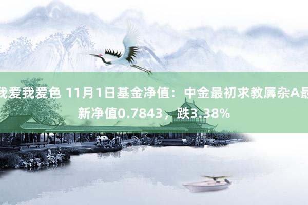 我爱我爱色 11月1日基金净值：中金最初求教羼杂A最新净值0.7843，跌3.38%