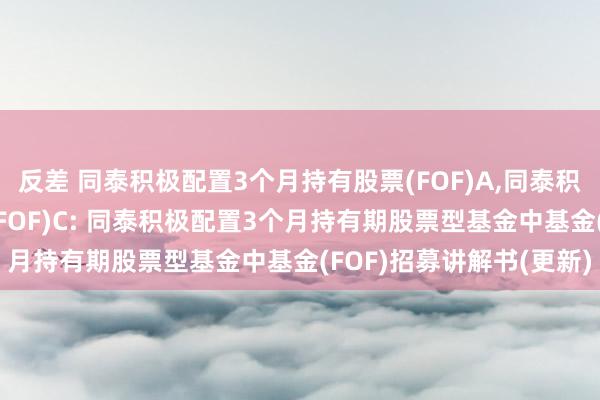 反差 同泰积极配置3个月持有股票(FOF)A，同泰积极配置3个月持有股票(FOF)C: 同泰积极配置3个月持有期股票型基金中基金(FOF)招募讲解书(更新)