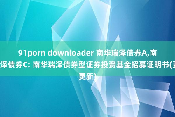 91porn downloader 南华瑞泽债券A，南华瑞泽债券C: 南华瑞泽债券型证券投资基金招募证明书(更新)