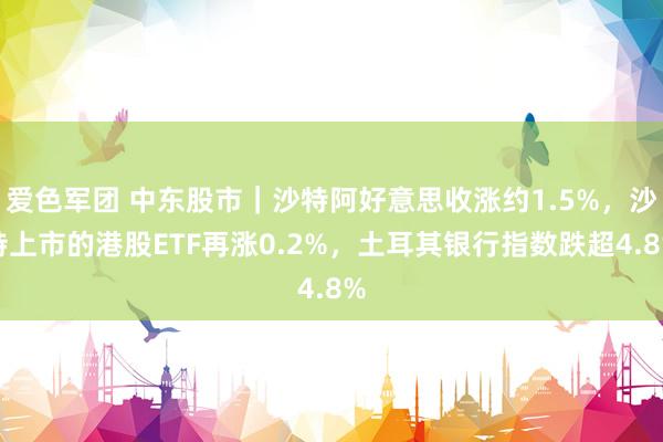 爱色军团 中东股市｜沙特阿好意思收涨约1.5%，沙特上市的港股ETF再涨0.2%，土耳其银行指数跌超4.8%