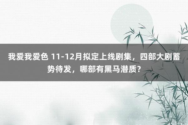 我爱我爱色 11-12月拟定上线剧集，四部大剧蓄势待发，哪部有黑马潜质？