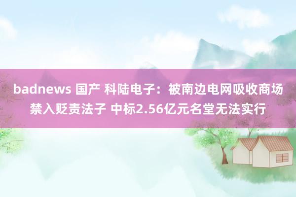 badnews 国产 科陆电子：被南边电网吸收商场禁入贬责法子 中标2.56亿元名堂无法实行