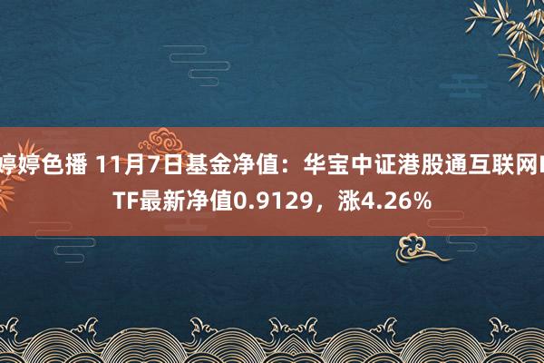 婷婷色播 11月7日基金净值：华宝中证港股通互联网ETF最新净值0.9129，涨4.26%