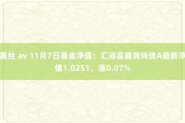 黑丝 av 11月7日基金净值：汇添富鑫润纯债A最新净值1.0251，涨0.07%