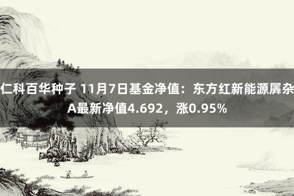 仁科百华种子 11月7日基金净值：东方红新能源羼杂A最新净值4.692，涨0.95%