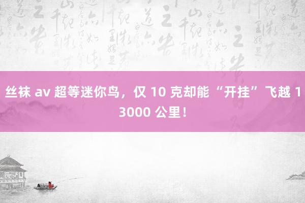 丝袜 av 超等迷你鸟，仅 10 克却能 “开挂” 飞越 13000 公里！