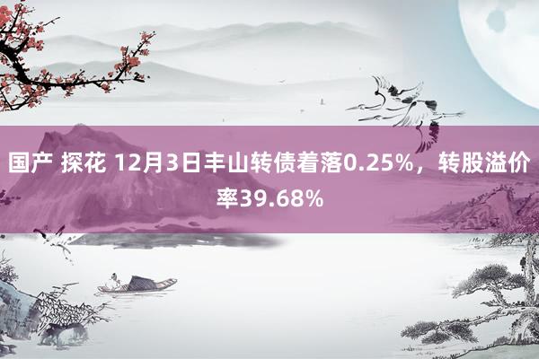 国产 探花 12月3日丰山转债着落0.25%，转股溢价率39.68%