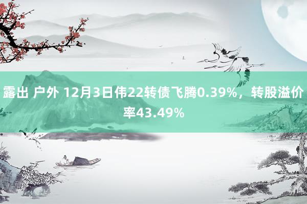 露出 户外 12月3日伟22转债飞腾0.39%，转股溢价率43.49%