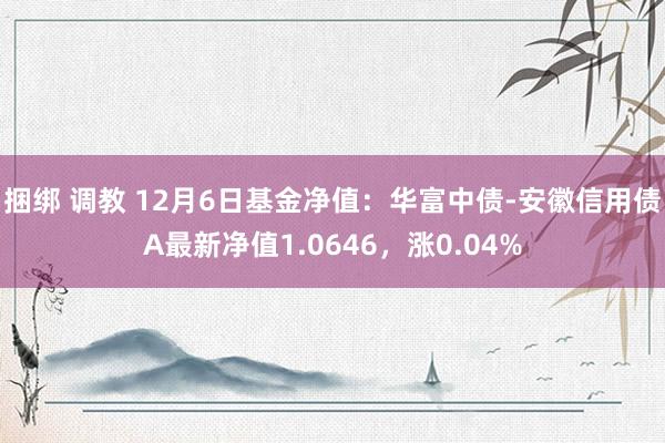 捆绑 调教 12月6日基金净值：华富中债-安徽信用债A最新净值1.0646，涨0.04%