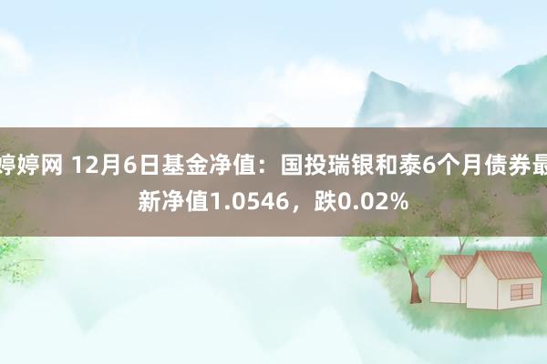 婷婷网 12月6日基金净值：国投瑞银和泰6个月债券最新净值1.0546，跌0.02%