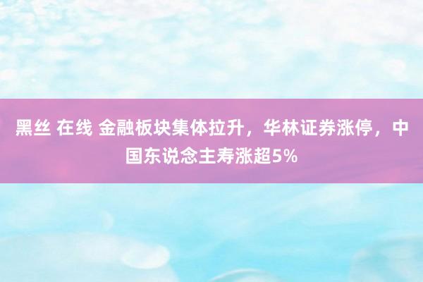 黑丝 在线 金融板块集体拉升，华林证券涨停，中国东说念主寿涨超5%