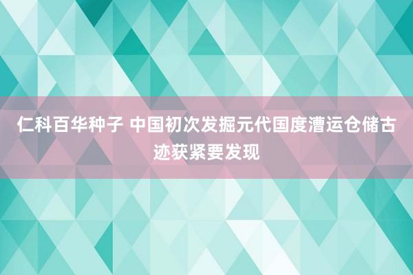 仁科百华种子 中国初次发掘元代国度漕运仓储古迹获紧要发现